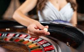 ckbet plataforma